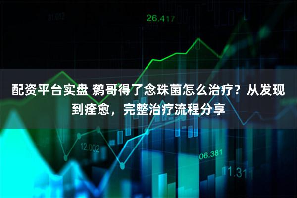 配资平台实盘 鹩哥得了念珠菌怎么治疗？从发现到痊愈，完整治疗流程分享